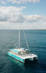 50' Catamaran 2017 Yacht For Sale